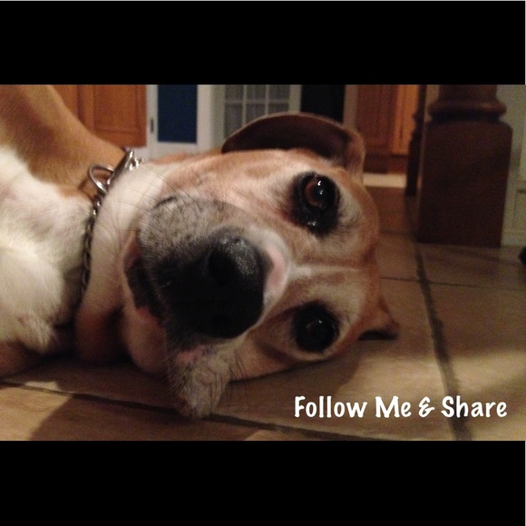 🌺Follow Me & Share🌺 - Picture 2 of 2